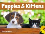 Puppies & Kittens Wall Calendar-Window Ad #7507